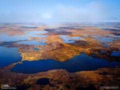 Tapeta National Geographic 617.jpg